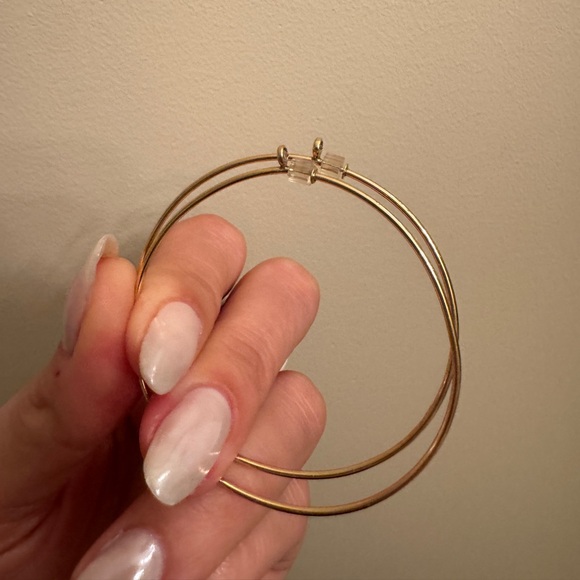 Tiffany & Co Elsa Peretti Diamond Hoop Earring - Picture 2 of 11